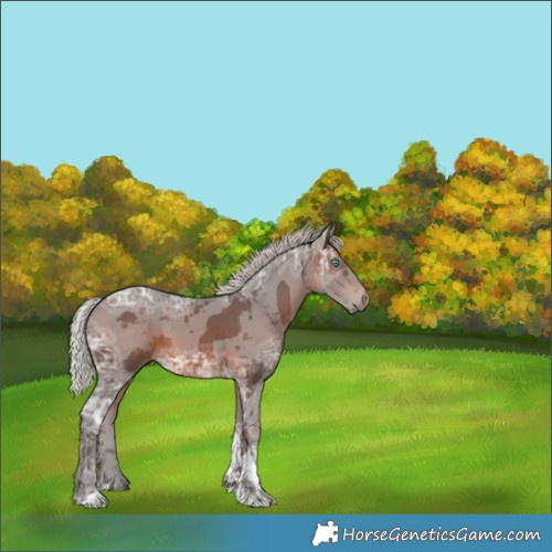Horse Color:Silver Brown Ice Merle Tobiano 