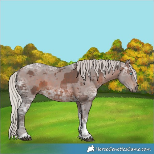 Horse Color:Silver Brown Ice Merle Tobiano