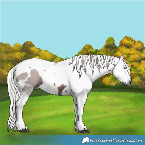 Horse Color:Silver Brown Harlequin Merle Tobiano