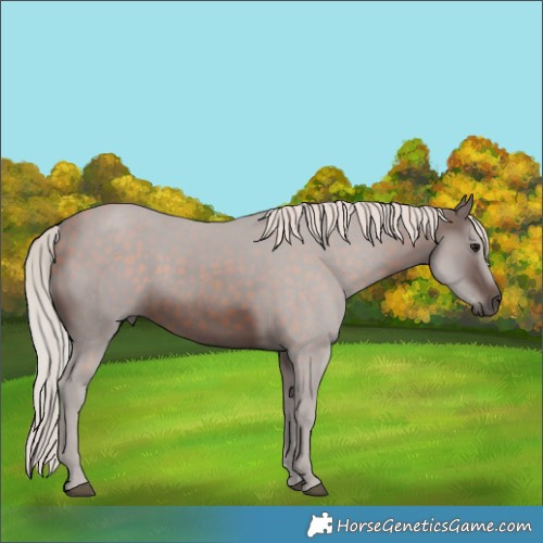Horse Color:Silver Brown 