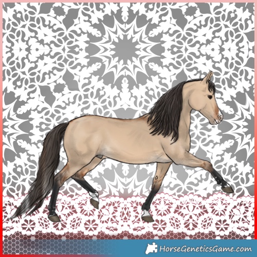 Horse Color:Bay Dun Splash Rabicano 