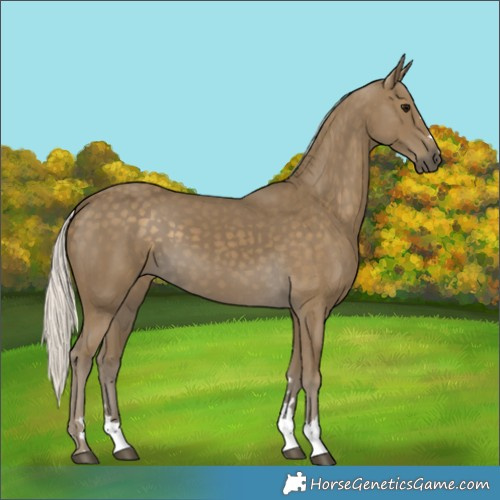 Horse Color:Silver Smoky Black