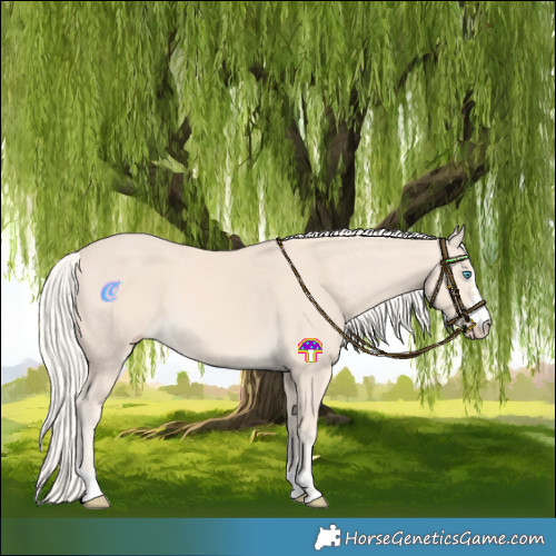 Horse Color:Cremello