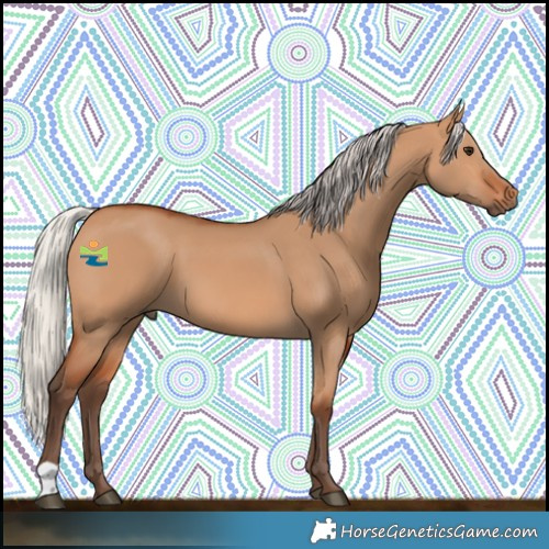 Horse Color:Silver Bay Dun 