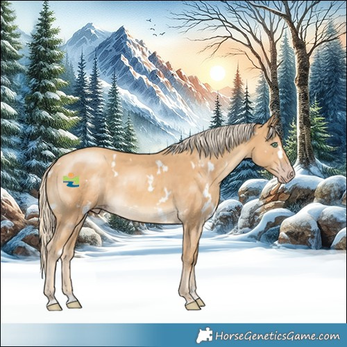 Horse Color:White Spotted Gold Cream Champagne Mushroom 