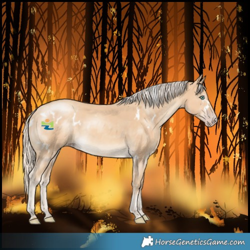 Horse Color:White Spotted Gold Cream Champagne Mushroom 
