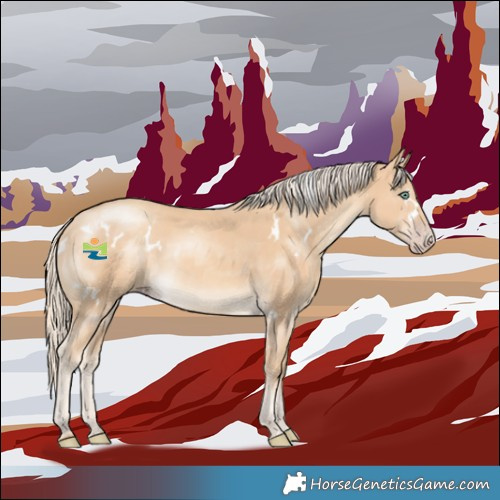 Horse Color:White Spotted Gold Cream Champagne Mushroom 