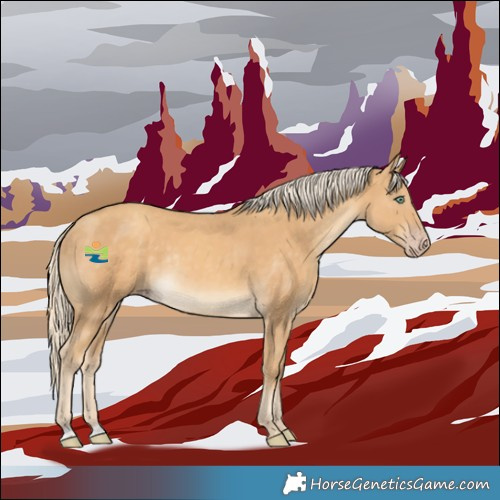 Horse Color:Gold Cream Champagne Mushroom Rabicano 