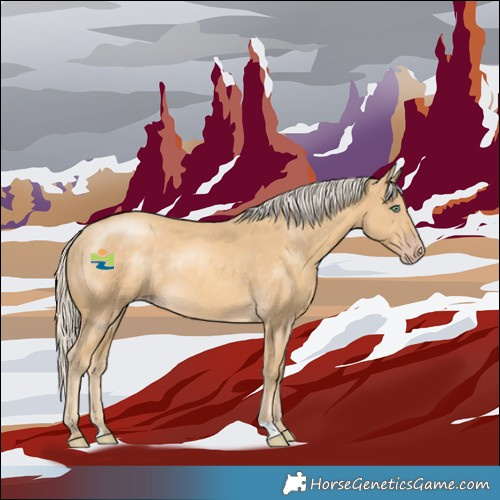 Horse Color:Gold Cream Champagne Mushroom Rabicano 