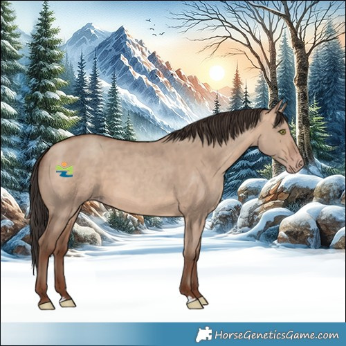 Horse Color:Sable Champagne Dun