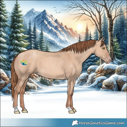 Horse Color:Gold Champagne Dun 