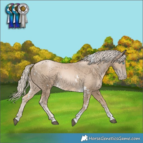 Horse Color:White Spotted Chocolate Palomino Snowdrop Tobiano 