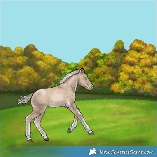 Horse Color:White Spotted Chocolate Palomino Snowdrop Tobiano
