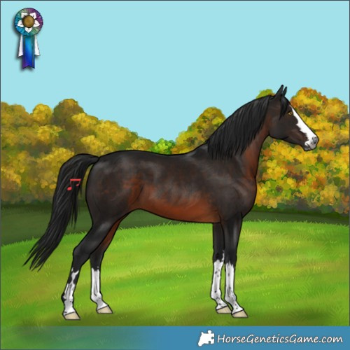 Horse Color:Gray Brown 
