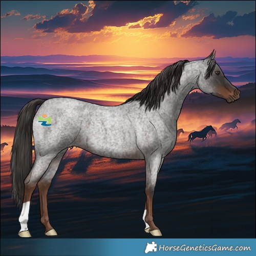 Horse Color:Liver Red Roan