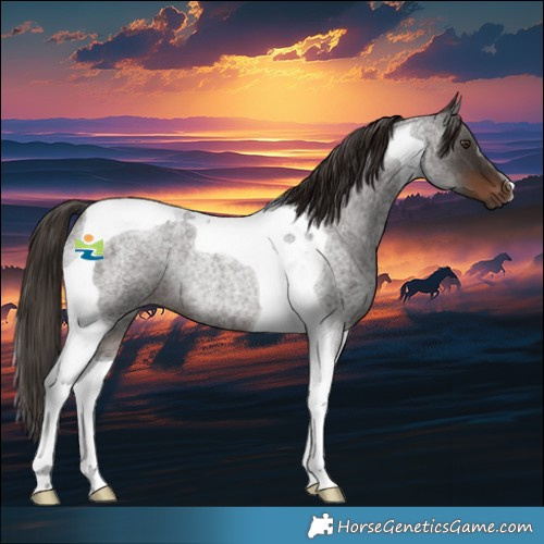 Horse Color:Liver Red Roan Tobiano Rabicano 
