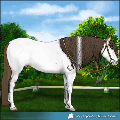 Horse Color:Buckskin Near Fewspot