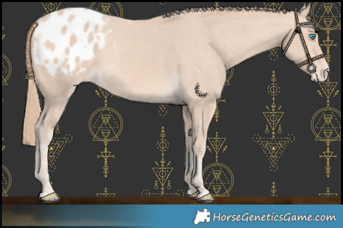 Horse Color:Perlino Varnish 