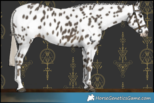 Horse Color:Silver Smoky Black Leopard 