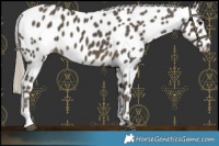 Horse Color:Silver Smoky Black Leopard 