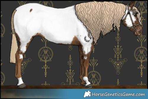 Horse Color:Chocolate Palomino Near Fewspot 