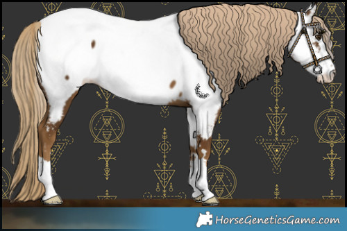Horse Color:Chocolate Palomino Near Fewspot