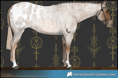 Horse Color:Chocolate Palomino Roan Blanket