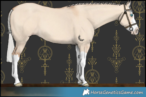 Horse Color:Silver Sable Champagne Dun Splash 