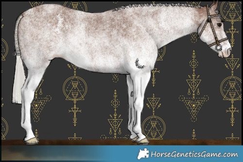 Horse Color:White Spotted Silver Black Rabicano 