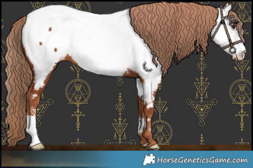 Horse Color:Chestnut Near Fewspot 