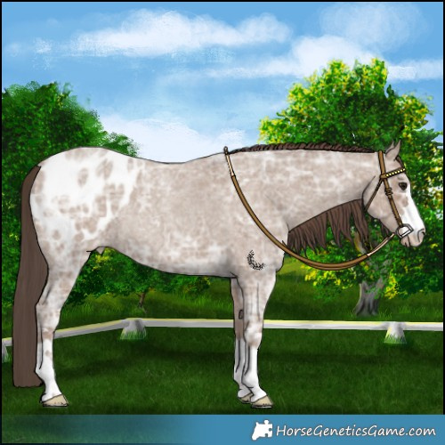 Horse Color:Classic Champagne Ice Roan Blanket 