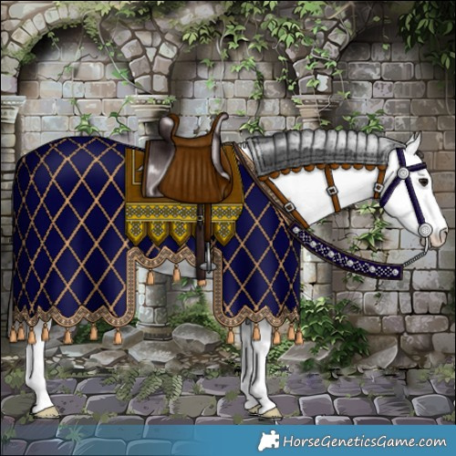 Horse Color:Bay Fewspot 