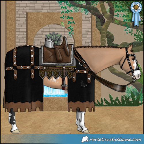 Horse Color:Bay Dun Appaloosa 