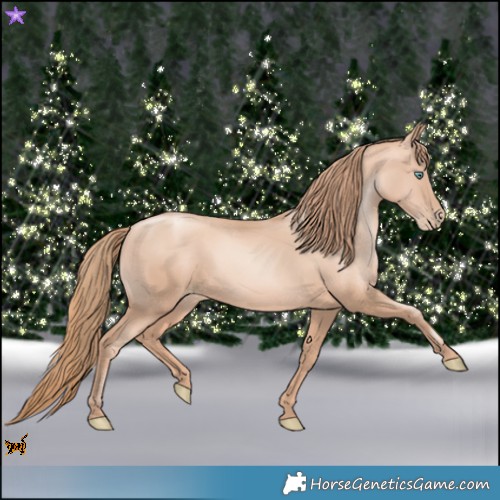 Horse Color:Gold Champagne Pearl Rabicano and Gold Champagne Pearl Rabicano