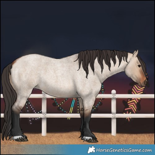 Horse Color:Bay Roan Dun
