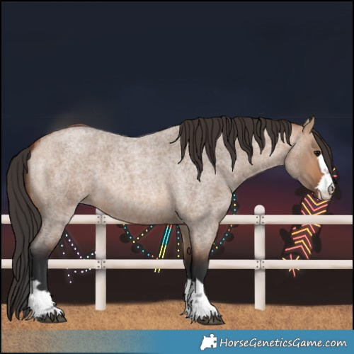 Horse Color:Bay Roan Dun