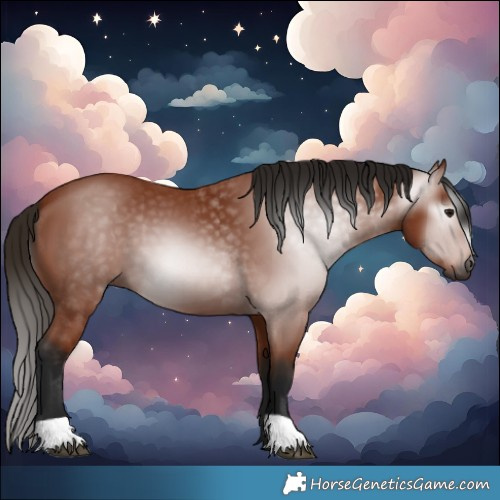 Horse Color:Gray Bay 