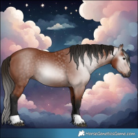 Horse Color:Gray Bay 