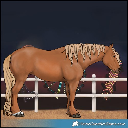 Horse Color:Chestnut 