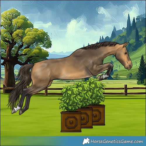 Horse Color:Buckskin 