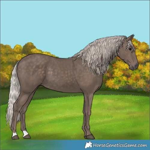 Horse Color:Silver Black