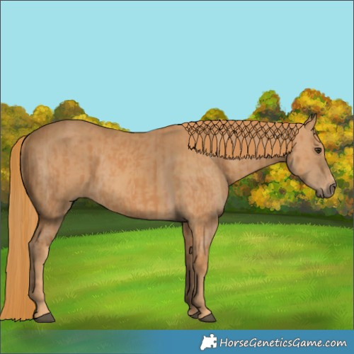 Horse Color:Chestnut and Chestnut