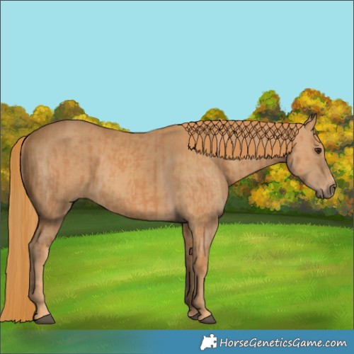 Horse Color:Chestnut  and Chestnut 