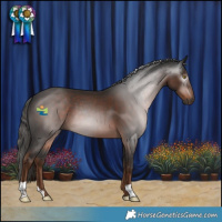 Horse Color:Gray Liver Chestnut 