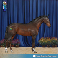 Horse Color:Gray Liver Chestnut 