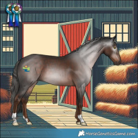 Horse Color:Gray Liver Chestnut