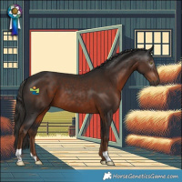 Horse Color:Gray Liver Chestnut 