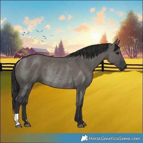 Horse Color:Grullo Rabicano 