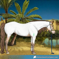 Horse Color:Amber Champagne Near Fewspot