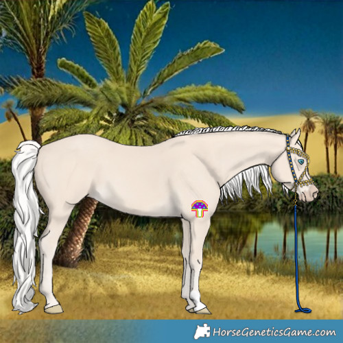 Horse Color:Silver Smoky Creme